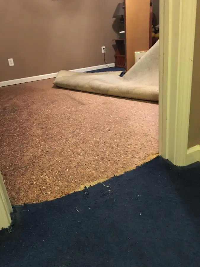 Carpet pad removal revealing water damage during Water Mitigation Services in Provo